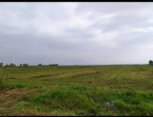 Satılır 6800 sot torpaq Zirə