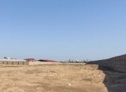 Satılır 100 sot torpaq Məhəmmədli