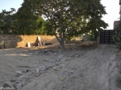 Satılır 36.5 sot torpaq Pirşağı