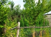 Satılır 3 otaqlı 43 m2 həyət evi Qəbələ