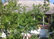 İcarəyə verilir 3 otaqlı 120 m2 həyət evi Qəbələ