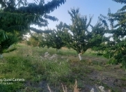 Satılır 71 sot torpaq Quba