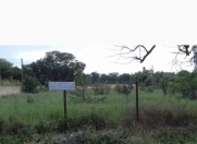 Satılır 40 sot torpaq Xaçmaz