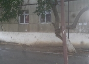 Satılır 4 otaqlı 70 m2 köhnə tikili Moskva univermağı