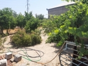 Satılır 5 sot torpaq Sumqayıt