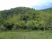 Satılır 4 sot torpaq Qax