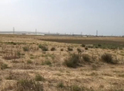 Satılır 600 sot torpaq Məhəmmədli