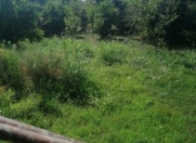 Satılır 200 sot torpaq Xudat