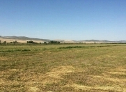 Satılır 160 sot torpaq Sabirabad