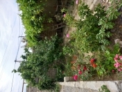 Satılır 3 otaqlı 100 m2 həyət evi Hövsan
