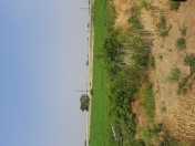 Satılır 200 sot torpaq Şabran