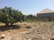 Satılır 6.5 sot torpaq Binə