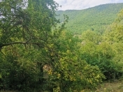 Satılır 6 otaqlı 160 m2 bağ evi Şamaxı