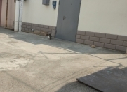 Satılır 3 otaqlı 85 m2 həyət evi Asan Xidmət-2