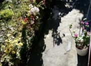 İcarəyə verilir 3 otaqlı 200 m2 həyət evi Qax