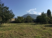 Satılır 11 sot torpaq Qəbələ