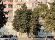 Satılır 3 otaqlı 72.3 m2 yeni tikili Sumqayıt