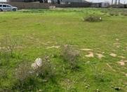 Satılır 1 sot torpaq Məhəmmədli