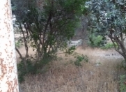 Satılır 7 sot torpaq Bilgəh