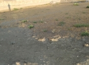 Satılır 5 sot torpaq Nübar