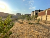 Satılır 8 sot torpaq Novxanı