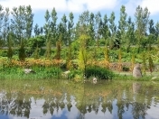 Satılır 100 sot torpaq Qəbələ