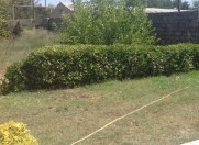 Satılır 6 sot torpaq Pirşağı