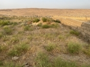 Satılır 8 sot torpaq Qobu