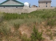 Satılır 10 sot torpaq Bilgəh