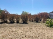 Satılır 14 sot torpaq Şüvəlan