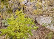 Satılır 8 sot torpaq Gənclik m.