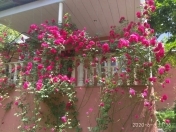 Satılır 4 otaqlı 140 m2 bağ evi Qəbələ