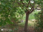 Satılır 3 sot torpaq Sumqayıt