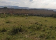 Satılır 18 sot torpaq İsmayıllı