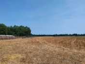 Satılır 285 sot torpaq Xudat