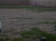 Satılır 10 sot torpaq Görədil