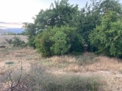 Satılır 88 sot torpaq Sumqayıt