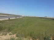 Satılır 21 sot torpaq Novxanı