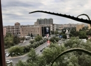 Satılır 2 otaqlı 60 m2 köhnə tikili 8 mkr