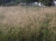 Satılır 8 sot torpaq Zaqatala