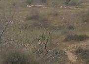 Satılır 12 sot torpaq Kürdəxanı