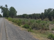 Satılır 1.68 sot torpaq Qəbələ