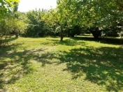 Satılır 40 sot torpaq Qəbələ