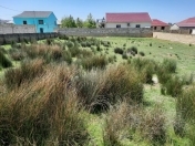 Satılır 10 sot torpaq Novxanı