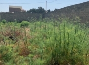 Satılır 13 sot torpaq Novxanı