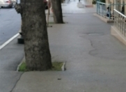 Satılır 5 otaqlı 120 m2 obyekt İçəri Şəhər m.