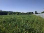 Satılır 90 sot torpaq Qəbələ