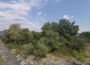 Satılır 16 sot torpaq Qəbələ