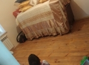 Satılır 5 otaqlı 258 m2 həyət evi Y.Ramana