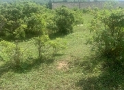 Satılır 24 sot torpaq Quba